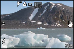 Ghiacci nel Kongsfjorden