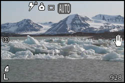 Ice in Kongsfjorden