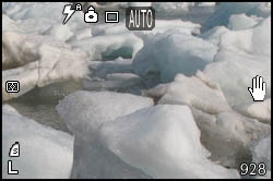 Ice in Kongsfjorden