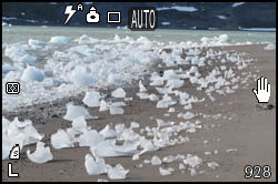 Ice on the beach
