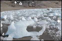 Ice on the beach