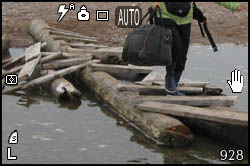 The log bridge