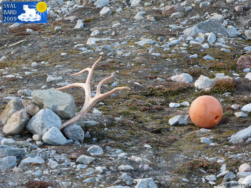La “porta” del bagno del secondo campo