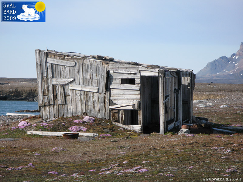 Rifugio nel Kongsfjorden