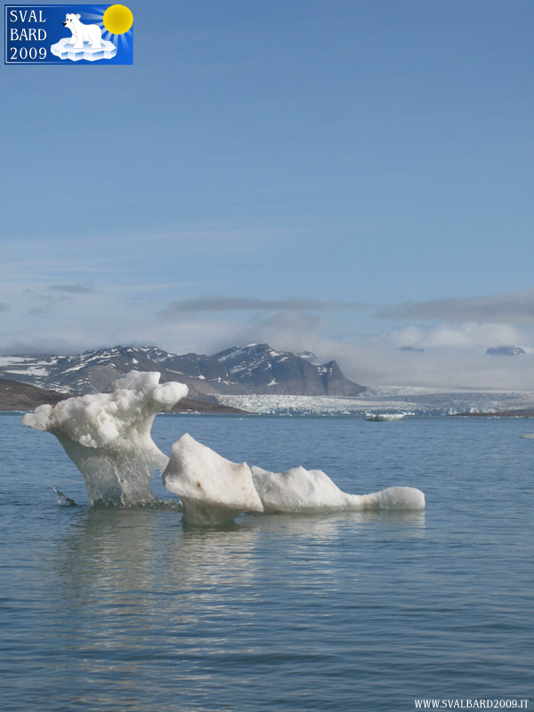 Ghiaccio nel Kongsfjorden, dettaglio