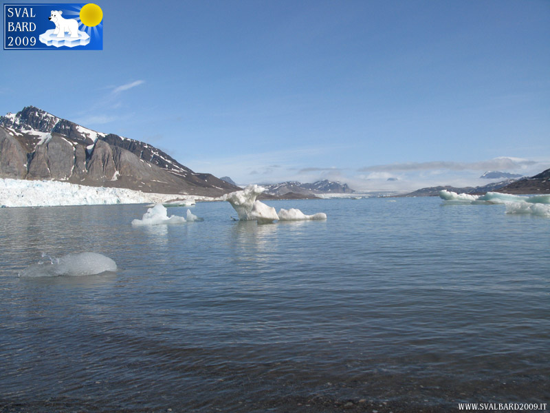 Ghiaccio nel Kongsfjorden