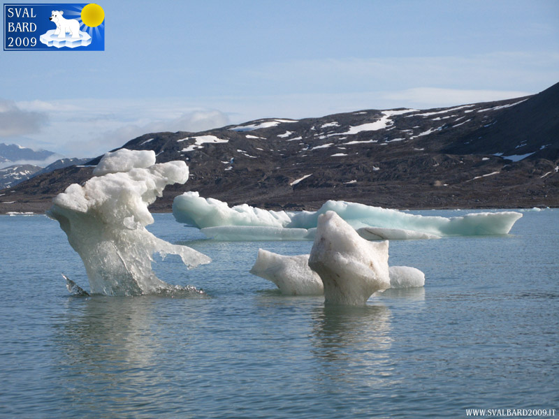 Ghiaccio nel Kongsfjorden, dettaglio