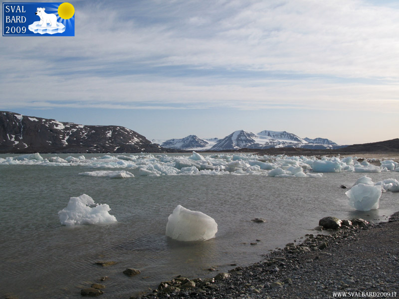 Ghiacci nel Kongsfjorden vicino alla riva -2