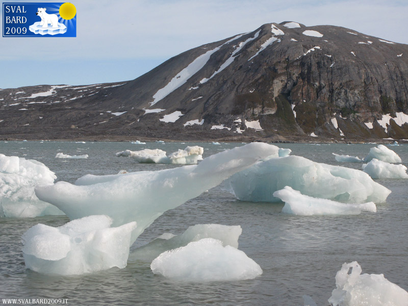 Ghiacci nel Kongsfjorden a riva, dettaglio -2