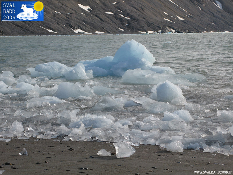 Ghiacci nel Kongsfjorden sulla spiaggia, dettaglio