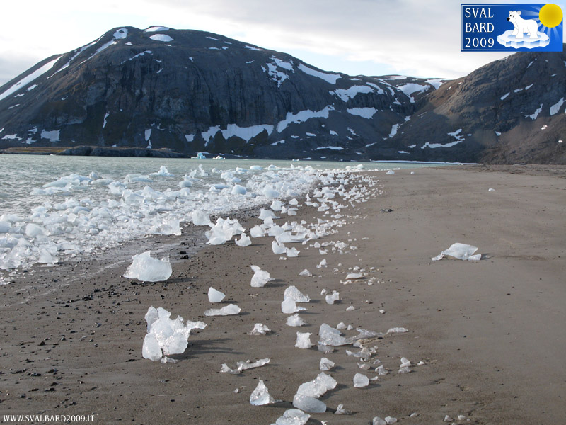 Ghiacci nel Kongsfjorden sulla spiaggia