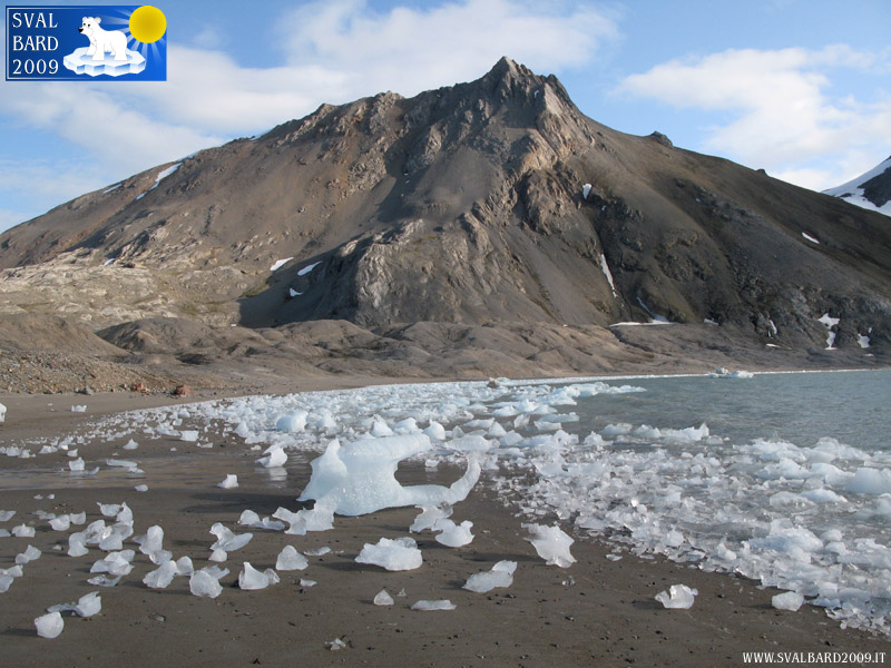 Ghiacci nel Kongsfjorden sulla spiaggia -2