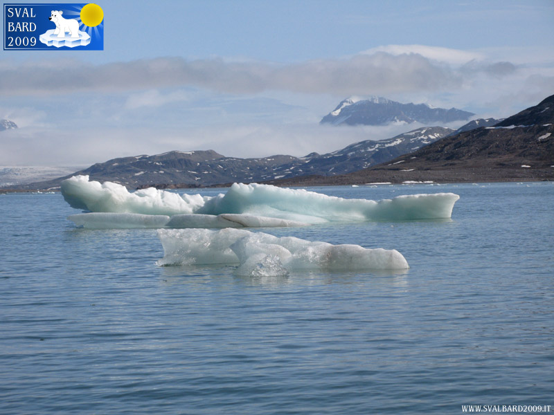 Piccoli iceberg nel Kongsfjorden