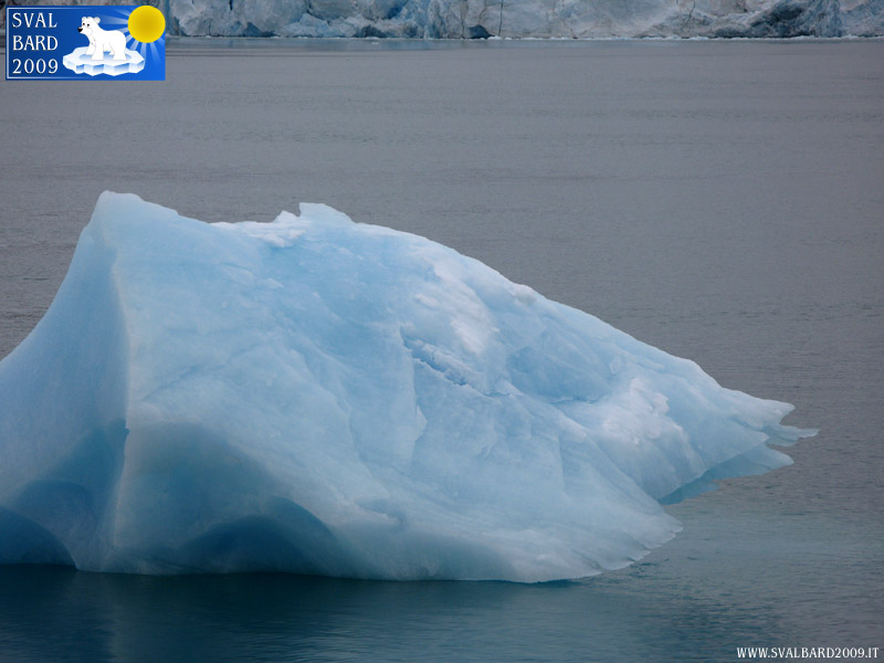 Iceberg, dettaglio