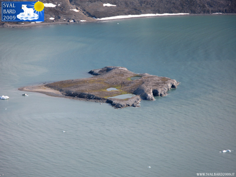 Isoletta sul Kongsfjorden -2