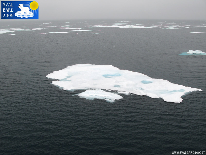 Mare artico verso l’80° parallelo -1