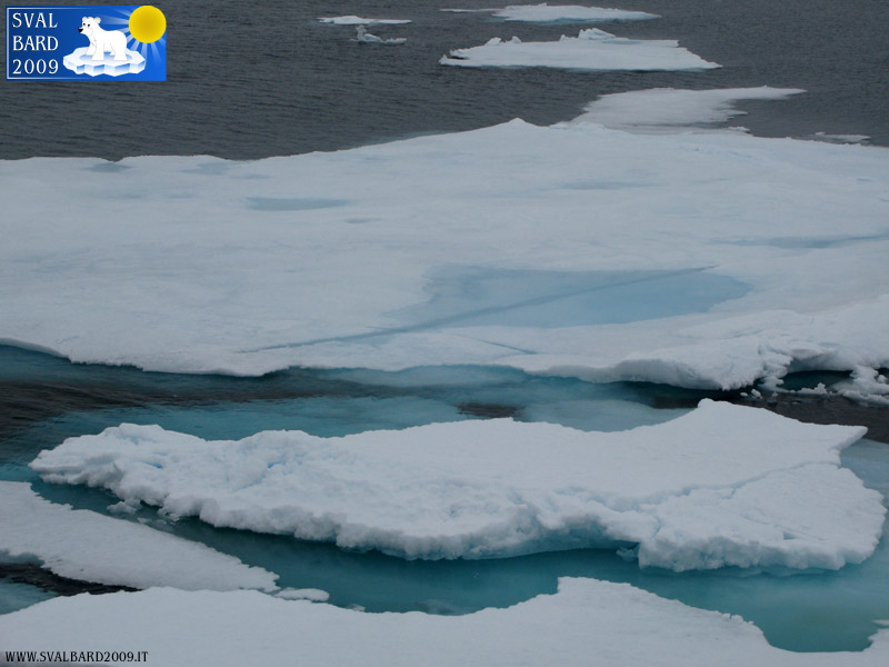 Particolare dei ghiacci
