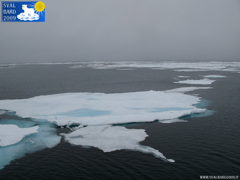 Particolare dei ghiacci -2