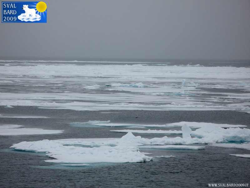 Mare artico verso l’80° parallelo -3