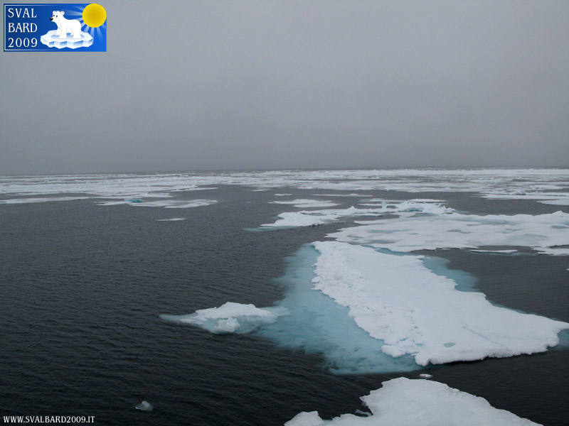 Mare artico verso l’80° parallelo -4