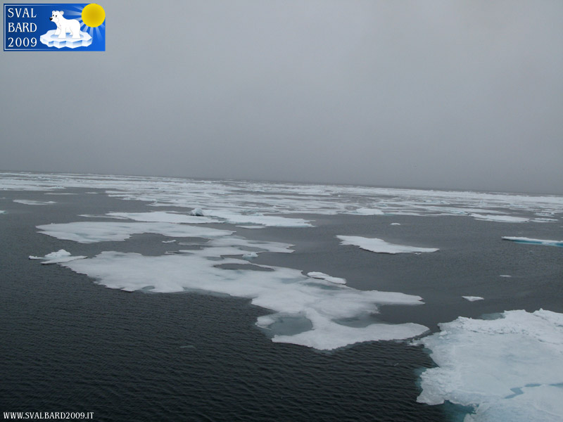 Mare artico verso l’80° parallelo -5