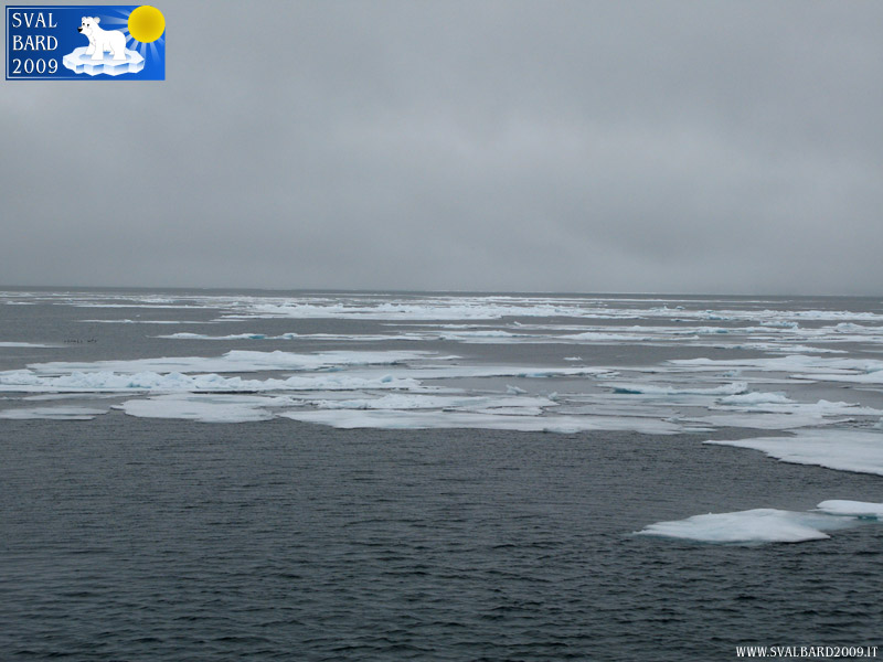 Mare artico verso l’80° parallelo -6