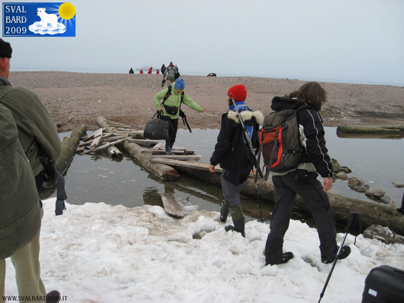 Il ponte di tronchi per arrivare al campo – Foto di Vibeke