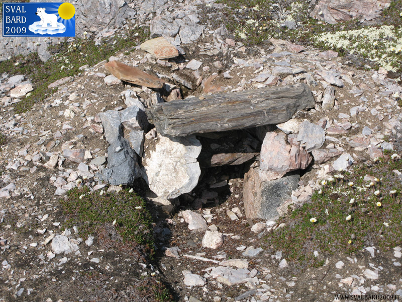 Vecchia trappola verso Kapp Guissez